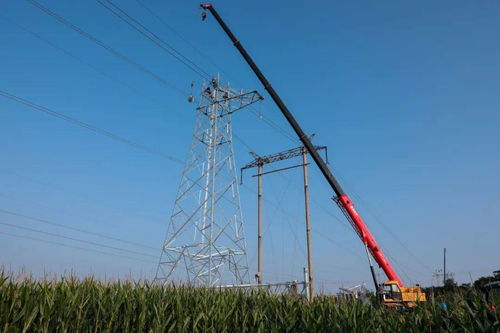 安陽供電公司 傾情服務重點民生工程，以人工裝卸服務答好災后重建電力答卷
